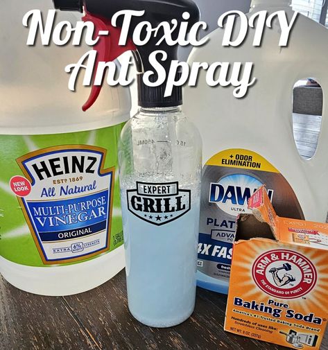 Diy Ant Spray Indoor, Diy Ant Spray, Ants Repellent Diy, Ant Remedies, Kitchen Ants, Non Toxic Diy, Ant Killer Spray, Homemade Ant Killer, Repellent Diy