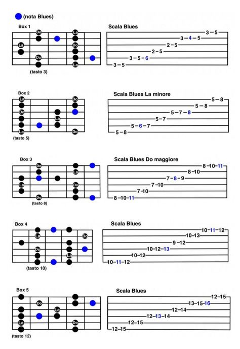 Guitar scales | Learn guitar chords, Guitar tabs songs, Guitar chords beginner Blues Guitar Scales, Blues Tabs Guitar, Guitar Scales Beginner, Blues Scales For Guitar, Jazz Scales Guitar, Learn Guitar Scales, Guitar Scales Charts, Guitar Scale, Guitar Chords And Scales