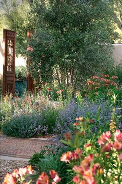 Romantic Spanish Garden Olive Trees Landscape, Olive Trees Garden, Spanish Garden, Drought Tolerant Garden, California Garden, Hidden Garden, Garden Entrance, Meteor Garden 2018, Desert Garden