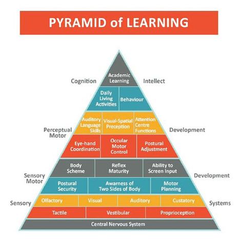 The Pyramid Of Learning Learning Pyramid, Sensory Integration Disorder, Glenn Doman, Sensory System, Sensory Diet, Pediatric Occupational Therapy, Language Centers, Learning Tips, Processing Disorder