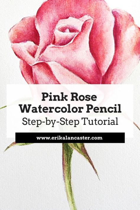 Watercolour Pencil Art Tutorials, Pencil Art Flowers, Watercolor Pencil Art Ideas, Watercolor Pencil Art For Beginners, Watercolor Pencil Drawings, Watercolor Pencil Tutorial, Watercolor Step By Step Tutorials, Watercolour Pencil Art, Pencil Art For Beginners