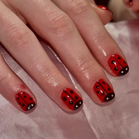 Bet you didn’t spot these bugtastic nails coming in late fall season 🐞 . Book in BlO✨ . . . . #nails #nailartist #nailart #naildesigns #nailinspo #smallbusiness #smallartist #beginnernailtech #tallynailtech #tallahassee #fsu #famu #tsc #biab #ladybug #rednails #polkadots #fallnails #cutenails Ladybug Nail Art Design, Nails With Dragonfly, Lady Bird Nails, Paul Frank Nails, Ladybug Nails Designs, Ladybird Nails, Tomato Nails, Nails Ladybug, Bug Nails