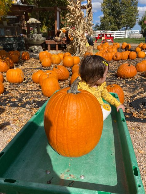 Pumpkin Patch Outfit, Toddler Life, Fall Kids, Family Time, Baby Fever, Halloween Kids, Pumpkin Patch, Mommy And Me, Toddler Activities