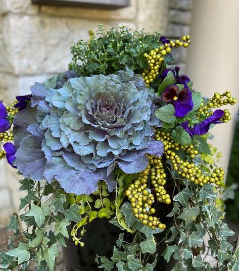 Howard Nemeroff (Owner) on Instagram: "Love for the autumn blues and the mail carrier. Big look for a 12” opening. #curbappeal #fall #autumn #design #landscapephotography #landscapephotography #gardening #containergardening #cabbage #flowing" Zucchini Aesthetic, Outdoor Fall Decorations, Fall Flowers Garden, Fall Container Gardens, Ornamental Cabbage, Fall Containers, Container Garden Design, Container Gardening Flowers, Fall Planters