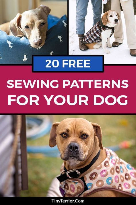 Sewing Projects For Dogs, Dog Vest Pattern, Dogs Crafts, Patterns For Toys, Dog Jacket Patterns, Free Sewing Projects, Pet Clothes Patterns, Dog Harness Pattern, Dog Clothes Patterns Sewing