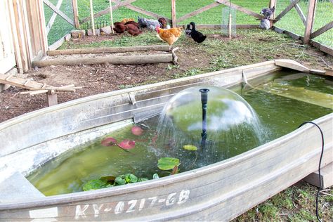 Old Boat Duck Pond, Boat Duck Pond, Chicken And Duck Run, Duck House Diy, Chicken Boredom, Duck Waterer, Chicken Run Ideas, Backyard Chickens Diy, Duck Ponds