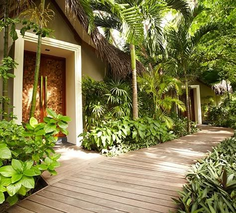 Garden Path Ideas, Tropical Garden Design, Tropical Backyard, Path Ideas, Casa Country, Luxury Garden, Tropical House, Garden Path, Garden Landscape Design