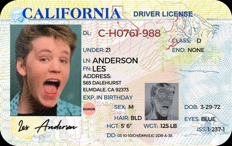 Passport Online, Driver License, Id Card Template, Driving License, Green Cards, New Drivers, Birth Certificate, Linnet, Famous Books