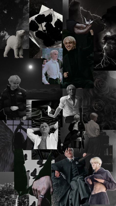 Draco Malfoy Aesthetic Hot, Harry Potter Fan Theories, Slytherin Wallpaper, Harry Draco, Draco Malfoy Aesthetic, Lucius Malfoy, Tom Felton Draco Malfoy, Draco Harry Potter, Harry Potter Draco Malfoy