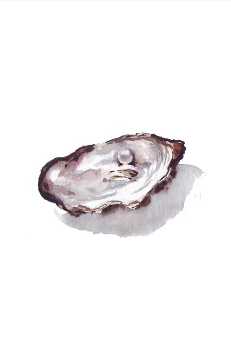 Oyster Watercolor, Pearl Images, Watercolor Postcards, Shell Drawing, Pearl Art, Watercolor Postcard, Wedding Invitation Inspiration, Watercolor Projects, Graduation Project