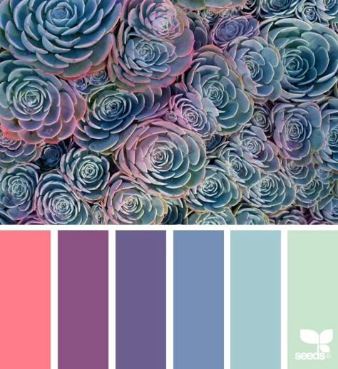 Spring 2020 Color Combinations for Decor Inspiration gathered by CountyRoad407.com #2020color #colorideas #colorinspiration #colordecorinspo #countyroad407 Color Palette For Home, Seeds Color, Blue Succulents, Palette Design, Color Schemes Colour Palettes, Succulent Wedding, Design Seeds, Color Palette Design, Colour Palettes