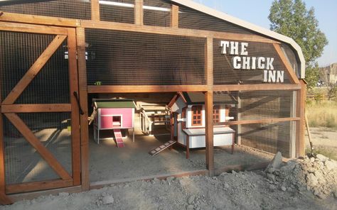 Carport Chicken Run, Rv Chicken Coop, Carport Chicken Coop, Chicken Coop With Tin Roof, Car Port Chicken Coop Hen House, Metal Carport Chicken Coop, Dog Kennel Turned Chicken Coop, Quail Pen, Duck Ideas