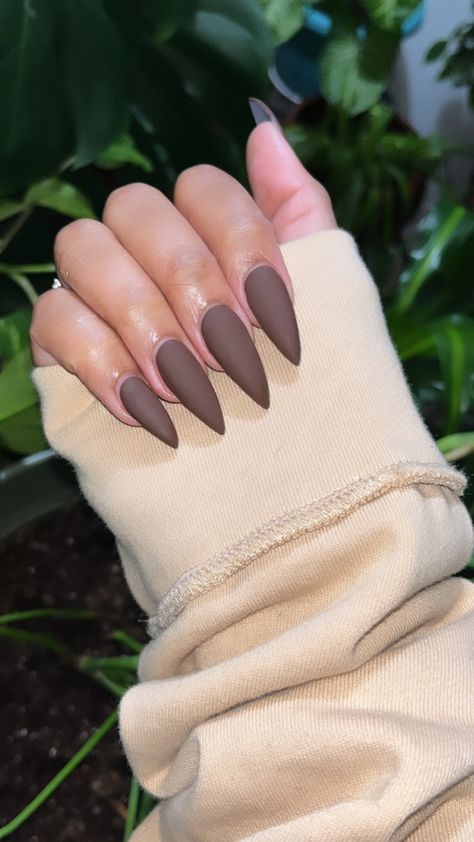 Matte Brown Almond Nails, Beth Dutton Nails, Brown Sugar Nails, Brown Stilleto Nails Designs, Matte Brown Acrylic Nails, Plain Stiletto Nails, Brown Nails Stiletto, Matte Almond Shaped Nails, Brown Matte Nails Design