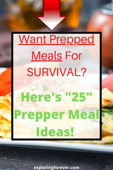 Survival Foods That Last Forever, Prepper Meals, Poor Meals, Survival Necessities, Survival Meals, Survival Recipes, Best Survival Food, Survival Skills Emergency Preparedness, Prepper Food