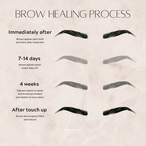 Pmu Brows Healing Process, Pmu Marketing Ideas, Cosmetic Tattoo Aesthetic, Pmu Content Ideas, Brow Healing Process, Ombre Brows Healing Process, Permanent Makeup Room, Microblading Healing Stages, Pmu Content