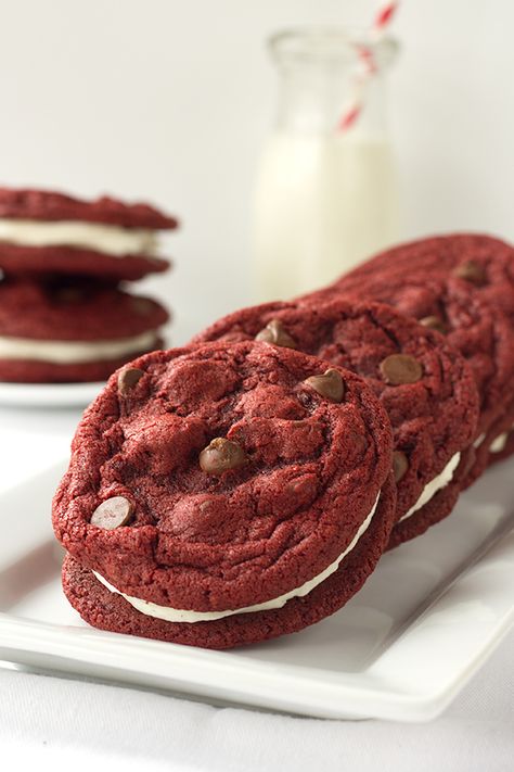 These Red Velvet Sandwich Cookies loaded with chocolate chips and a fluffy cream cheese frosting are the only sandwiches I need in my life. They're pretty! Red Velvet Chocolate Chip Cookies, Red Velvet Sandwich Cookies, Red Velvet Chocolate, Fluffy Cream Cheese Frosting, Triple Chocolate Cheesecake, Sweet Bakes, Chocolate Peanut Butter Cheesecake, Velvet Cookies, Chocolate Cheesecake Recipes