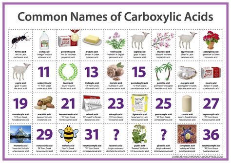 Organic Chem, Medicinal Chemistry, Study Chemistry, Chemistry Classroom, Carboxylic Acid, Teaching Chemistry, Chemistry Lessons, Chemistry Experiments, Chemical Structure