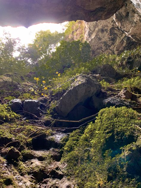 #photography #cave #nature #philippines #travel Sagada Philippines, Nature Philippines, Sagada, Philippines Travel, Philippines, Photography, Travel, Nature