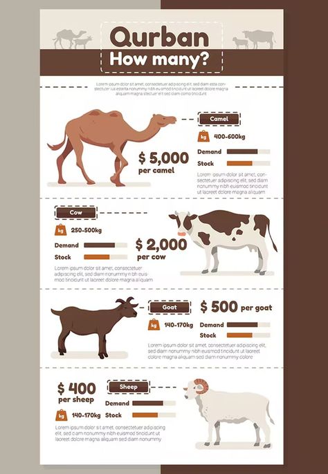 Comparison Infographic, Infographic Examples, Sandstone Fireplace, Fashion Infographic, Infographic Design Template, Eid Al Adha, Business Model, Infographic Design, Design Template