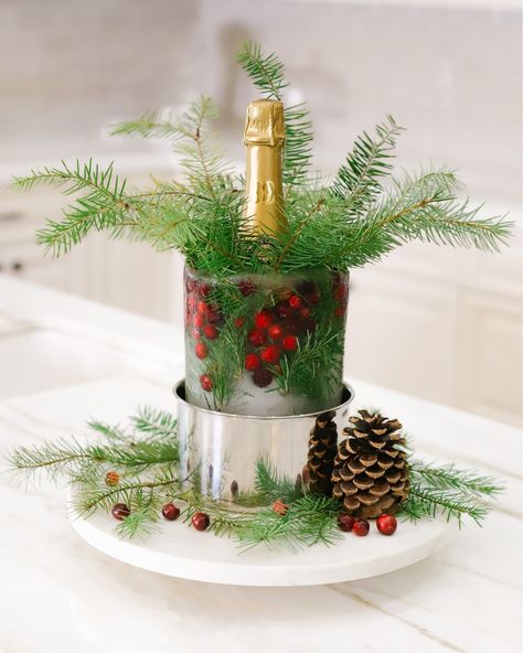 Ice Wine, Nye Party, Ice Molds, Hello Winter, Diy Wine, Christmas Wine, Wine Chiller, Christmas Drinks, Crate And Barrel