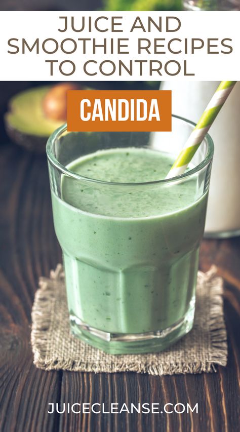 smoothie to fight candida | candida killer smoothies | juicing for candida | candida friendly green smoothie Anti Inflamatory Smoothie, Candida Diet Food List, Candida Cleanse Diet, Anti Candida Diet, Healthy Gut Recipes, Juice Cleanses, Candida Recipes, Candida Diet Recipes, Candida Cleanse