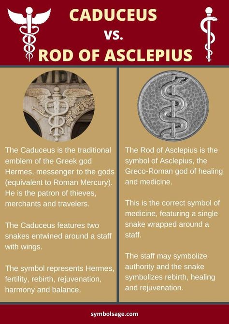 Rod Of Asclepius Art, The Caduceus, Rod Of Asclepius Tattoo Feminine, Asclepius Art, Rod Of Asclepius Tattoo, Hermetic Symbols, Serpent Symbolism, Medicine Symbol, Caduceus Tattoo