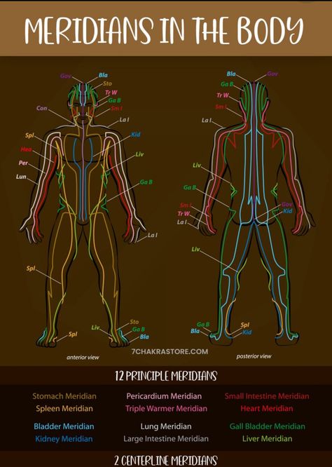 Meridian Lines Body Pressure Points, Body Meridian Chart, Energy Body Spiritual, Meridians Points Charts, Calling Energy Back, Emotions In The Body Chart, Meridians Energy Charts, Meridian Healing, Meridian Pathways