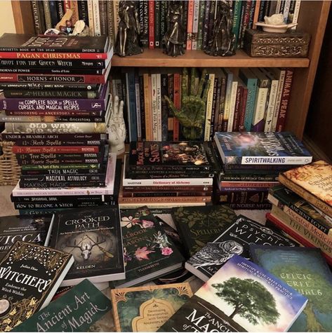 Witchcraft Books Aesthetic, Best Witchy Books, Occult Books Aesthetic, Pagan Books, The Nature Of Witches Book Aesthetic, Witch Bedroom, Old Witchcraft Books, Witch Bedrooms, Black Library