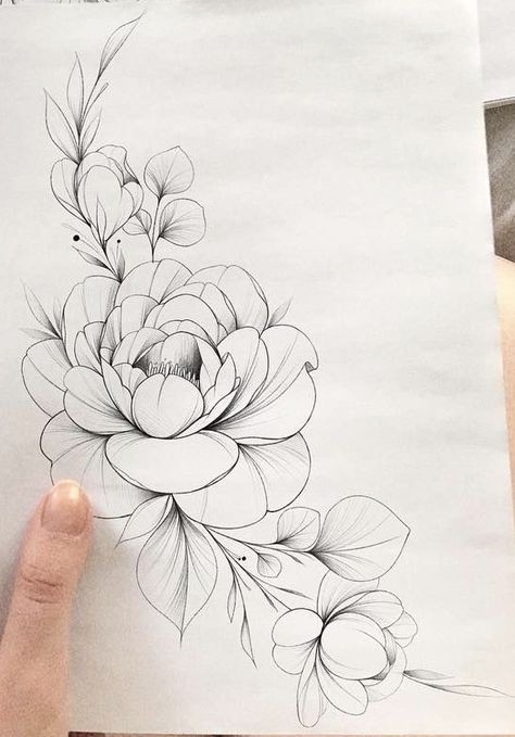 Realistic Flower Drawing, Peony Flower Tattoos, Cute Flower Drawing, Peony Drawing, Easy Flower Drawings, Flower Tattoo Drawings, Beautiful Flower Drawings, Peonies Tattoo, Floral Tattoo Design