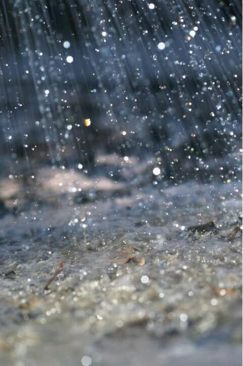 RAINDROPS Foto Macro, Rain Falling, Pueblo Colorado, Foto Top, I Love Rain, Hail Storm, Rain Storm, Love Rain, Singing In The Rain