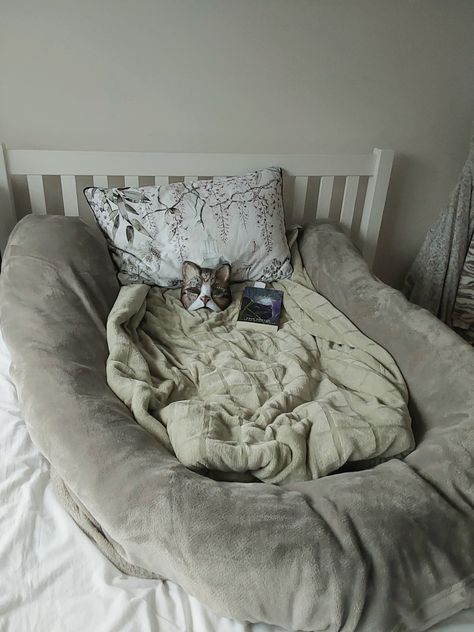 Therian Human Nest Bed, Cozy Nest Bed, Bed Nest Cozy Bedroom, How To Make A Bed Nest, Therian Bedroom Ideas, Nesting Aesthetic, Omega Nest, Comfy Cozy Home, Bed Nest