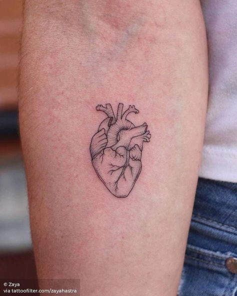 Real Heart Tattoos, Human Heart Tattoo, Realistic Heart Tattoo, Heart Outline Tattoo, Heart Tattoos With Names, Realistic Heart, Red Heart Tattoos, Real Heart, Anatomical Heart Tattoo