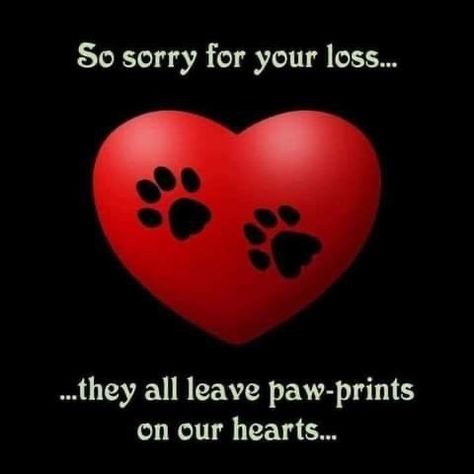 Pet Sympathy Quotes, Dog Heaven Quotes, Pet Condolences, Dog Poems, Pet Sympathy Cards, Sympathy Quotes, Dog Sympathy, Dog Heaven, Pet Remembrance