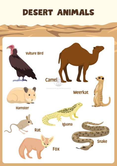 Introduce kids to desert wildlife with this simple brown-themed desert animals poster! Featuring clean and minimalistic illustrations of animals like camels, lizards, and meerkats, this educational poster is perfect for classrooms, nurseries, or playrooms. It adds a learning-focused touch to any space while teaching kids about desert animals. 

#DesertAnimals #KidsRoomDecor #EducationalPoster #AnimalPoster #PrintableForKids Desert Animals Printable, Dessert Animals, Poster Brown, Desert Wildlife, Animals Poster, Rat Snake, Desert Animals, Simple Template, Desert Living