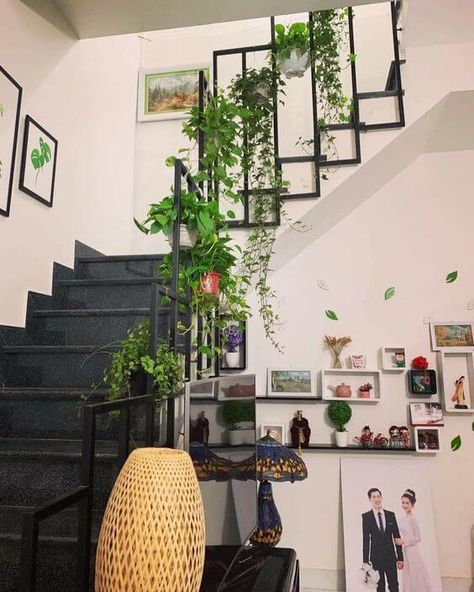 34 Eye-catching Staircase Decor Ideas with Plants Staircase Frames, Indoor Hanging Plants, Best Indoor Hanging Plants, Indoor Vines, Staircase Decor Ideas, Hanging Plants Outdoor, Plant Display Ideas, Indoor Plant Wall, Hanging Gardens