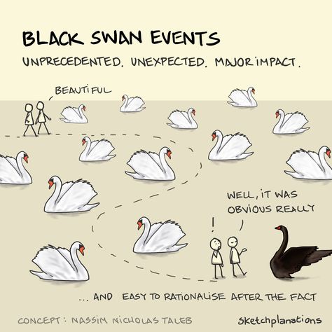 Two people walk through many white swans before bumping into a black swan. One claims it was obvious all along. Hindsight Bias, Mental Models, Black Swan Event, Nassim Nicholas Taleb, Black Swans, Good Leadership Skills, Cognitive Bias, Mental Exercises, Greek Philosophers