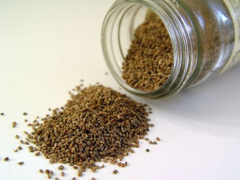 Celery seed is not only used for cooking, it's also in DGP! Celery Plant, Sage Oil, Celery Seed, Seed Saving, Ayurvedic Medicine, Clary Sage, Indian Spices, Herbal Remedies, Celery