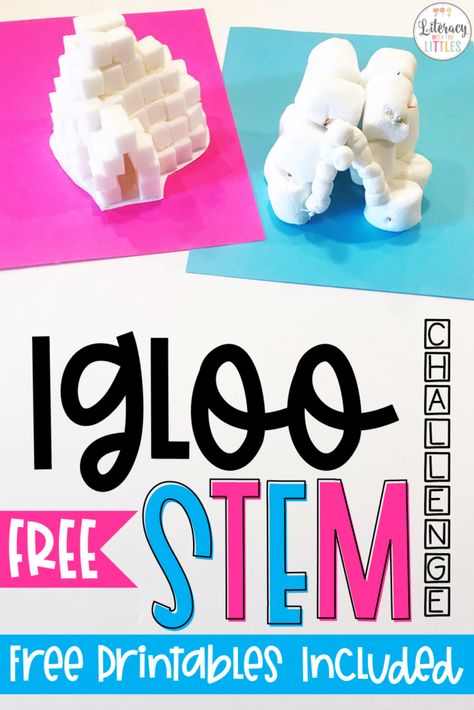 Build an Igloo STEM Activity Build An Igloo Stem Challenge, First Grade Stem Challenges, Stem Igloo, Mandala Tattoo Lotus, Build An Igloo, Winter Stem Challenges, Winter Stem Activities, Igloo Building, Winter Stem