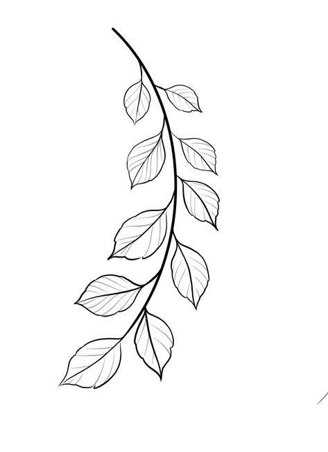 Simple Vine Drawing, Floral Vine Drawing, Vines Drawing Simple, Vines Drawing, Blatt Tattoos, Vine Drawing, Flower Pattern Drawing, Traditional Tattoo Designs, Sketches Drawing