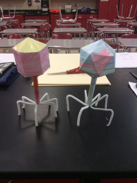 Bacteriophage cut out for biology Teaching Biology Activities, Biology Interactive Notebook, Biology Activities, Life Science Classroom, Biology Experiments, Biology Activity, Healthy Community, Biology Projects, Biology Classroom