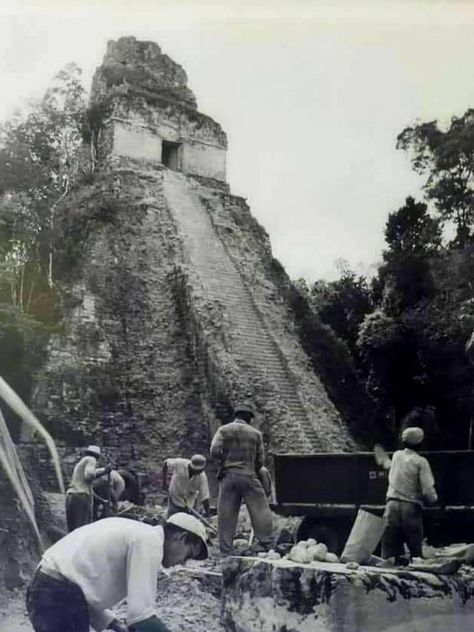 Fotos antiguas de Tikal en Guatemala Maya Architecture, Tikal Guatemala, Mayan Architecture, Guatemalan Art, Aztec Temple, Sacred Fire, The Seven Sisters, Ancient Mexico, Man And Nature