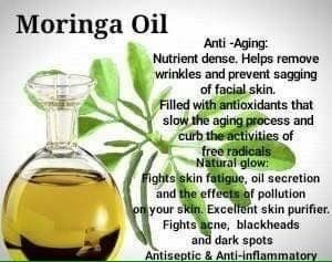 Moringa Oil Benefits, Moringa Recipes, Essential Oil Spray Recipes, Moringa Benefits, Hair And Skin Vitamins, Moringa Tree, Natural Oils For Skin, Anti Aging Oils, Moringa Oil