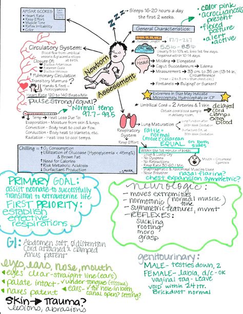 Nicu Nurse Assessment, Neonatal Nurse Notes, Postpartum Nursing Notes, Newborn Assessment Nursing, Nicu Nurse Education Cheat Sheets, Nicu Nurse Study Notes, Nicu Nurse Notes, Maternal Newborn Nursing, Nicu Nurse Education