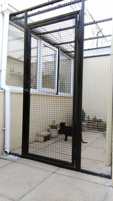 Cat Runs Cat Catio Indoor, Diy Balcony Cat Enclosure, Balcony Catio Cats Diy, Outdoor Cat Window Cage, Outdoor Cage For Cats, Cat Cages Indoor, Outdoor Cat Run, Chicken Wire Cat Balcony, Cat Playground Outdoor