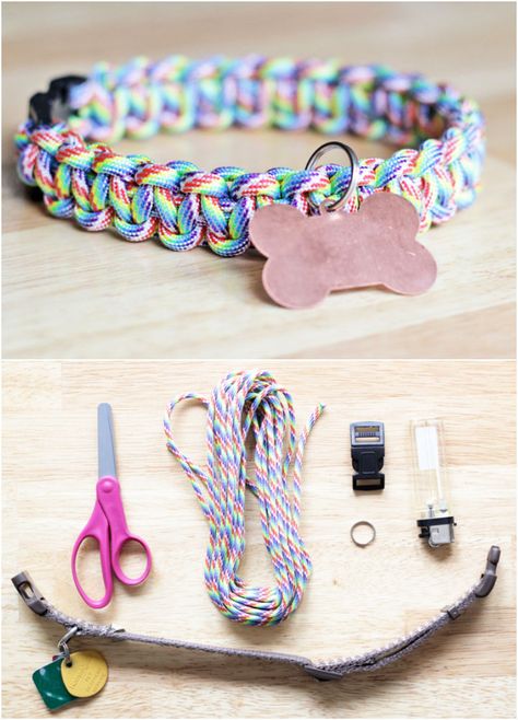 Pet Collars Diy, Dog Collar Pattern, Paracord Projects Diy, Paracord Dog Leash, Dogs Diy Projects, Diy Dog Collar, Diy Dog Toys, Paracord Dog Collars, Paracord Diy