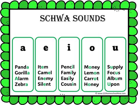 Schwa sound examples  Here are some common examples of schwa words: Schwa Sound, How To Spell Words, Homeschool Preschool Curriculum, Vowel Sound, Longest Word, Sound Words, 1st Grade Worksheets, English Activities, Spelling Words