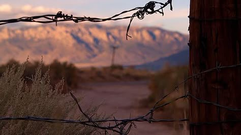 Holes Louis Sachar, Wasteland Aesthetic, Louis Sachar, Brokeback Mountain, Into The West, Between Two Worlds, Fallout New Vegas, Western Aesthetic, Wire Fence