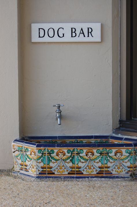 "dog bar" on worth avenue.  palm beach.  love.  | photo by Colleen McCaffrey Outside Dogs, Dog Hotel, Dog Area, Grooming Salon, Dog Rooms, Animal Room, Dog Daycare, Dog Runs, Dog Boarding