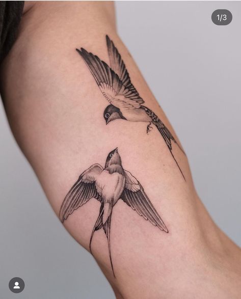 Birds Arm Tattoo, Japanese Bird Tattoo, Golondrinas Tattoo, Wren Tattoo, Free Bird Tattoo, Mockingbird Tattoo, Ukraine Tattoo, Tricep Tattoo, Sparrow Tattoo Design