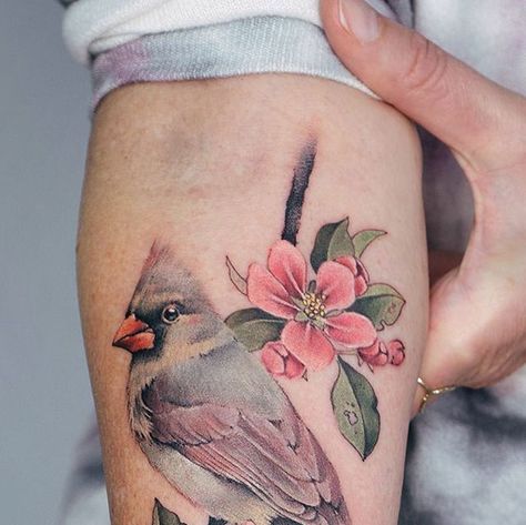 Female Cardinal Tattoo, Cardinal Tattoos, Tattoo Supplies, Cardinal Birds, Crab Apple, Birds Tattoo, Apple Blossom, Color Tattoo, Tattoo Artists